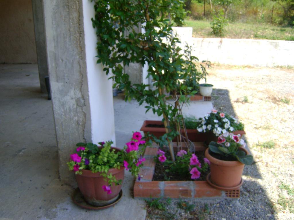 Scorpios Apartments Dassia (Corfu) Exterior foto
