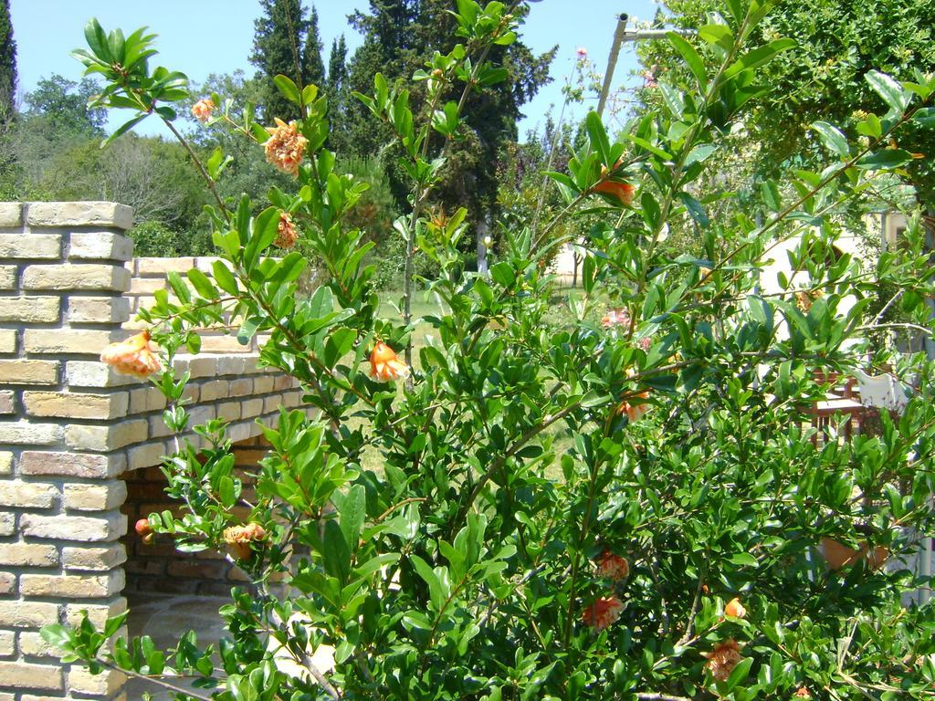 Scorpios Apartments Dassia (Corfu) Exterior foto