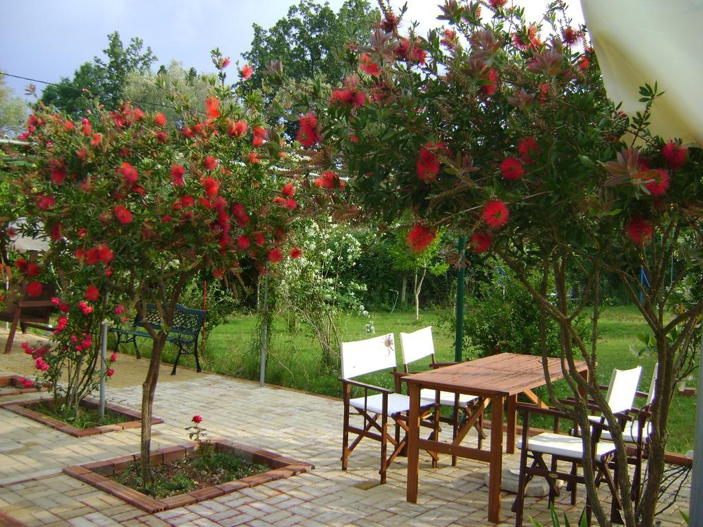Scorpios Apartments Dassia (Corfu) Exterior foto
