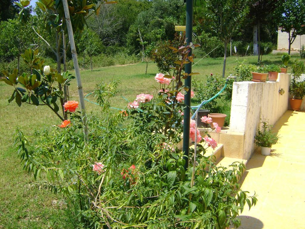 Scorpios Apartments Dassia (Corfu) Exterior foto