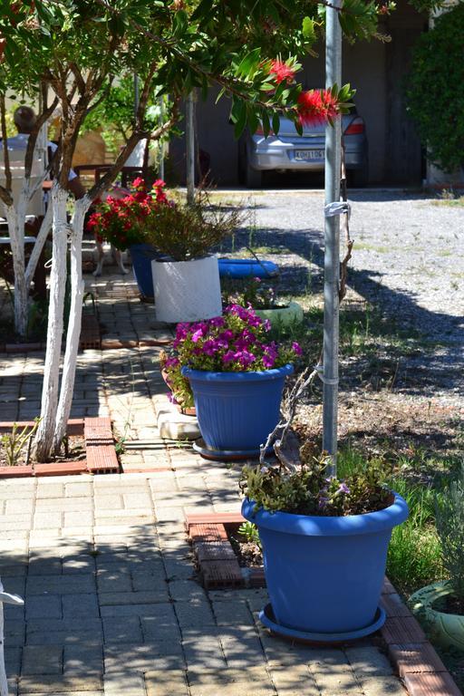 Scorpios Apartments Dassia (Corfu) Quarto foto