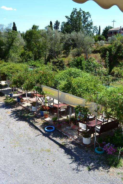 Scorpios Apartments Dassia (Corfu) Quarto foto